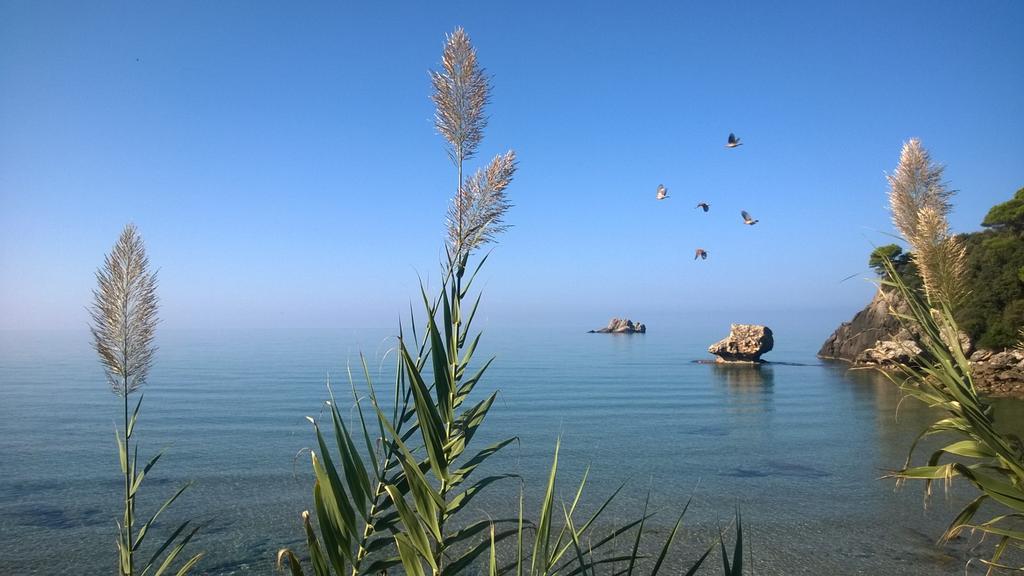 Yaliskari Beach Pelekas Dış mekan fotoğraf